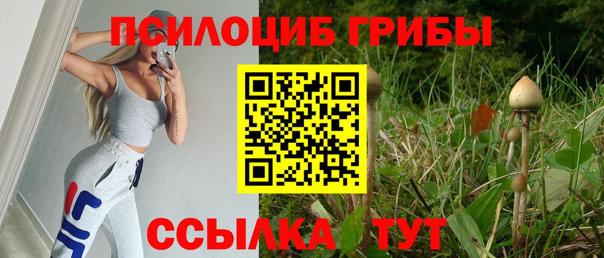 Усть-Джегута  Галлюциногенные грибы GOLDEN TEACHER  Галлюциногенные грибы мицелий  Вход с VPN 