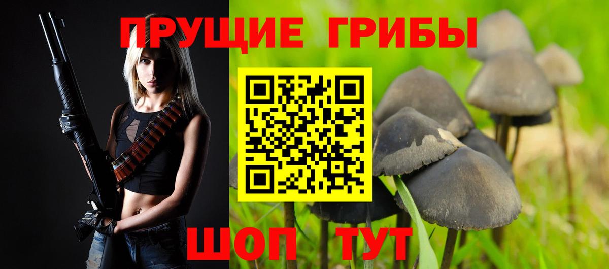 Галлюциногенные грибы мухоморы Усть-Джегута